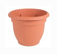 Bloem Ariana 10-inch Planter with Self Watering Grid Terra Cotta