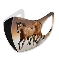 YOFFYO Soft Earloop Face Cover, Anti-Dust Pollenm Smog Mouth-Muffle with Adjustable Elastic Band - Windproof Animal Running Wild Horse Designs Half Face Mouth Cover