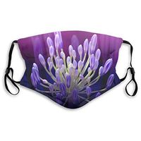 Bgorhl Fashion Face Cover Adjustable Elastic Band Hypoallergenic Face and Nose Cover for Pollen Smog Climbing - Anti Pet Hair Allergy (Praise)