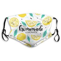 2 Pack Colorful Watercolor Yellow Lemon Pattern PM2.5 Non-Medical Ma-sk with Replaceable Filter Elements