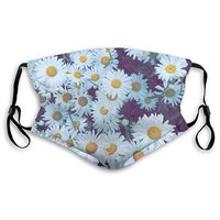 YOFFYO Soft Mouth Covers Earloop Anti-Allergies for Dust Painting, Women Men Kids - Healthy (White Daisy Mouth Cover)