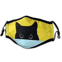 JYFKA Halloween Mouth Mask, Ear Loop Face Mask with Replaceable Filter Digital Art Kitten Anti Dust Warm Fashion Mask