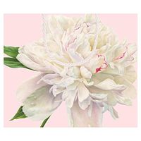 Caspari Duchess Large Gift Bag - 2 Bags