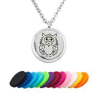 CLY Jewelry Owl Night Aromatherapy Essential Oil Locket Pendant Colorful Animal Diffuser Necklace Refill Pads for Women Girl
