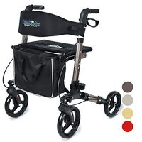 Health Line Massage Products Compact Rollator for Seniors, Euro Style Folding Walker with Seat and Backrest, 8" Wheels, 3 Colors Available (Titanium)