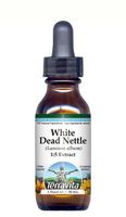 White Dead Nettle - Glycerite Liquid Extract (1:5) - No Flavor (1 fl oz, ZIN: 428346) - 3 Pack