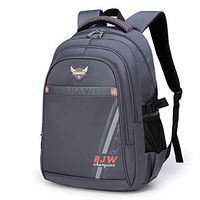 School Backpack For Boys Kids Elementary School Bags Bookbag (04gray)