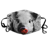 Pet Splash Sweet Piglet Red Nose Pig Animal In The World Reusable Moisture Wicking Earloop Face Masks For Women's Washable Skate Nose Cover - Adjustable Elastic Band
