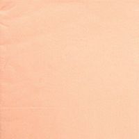 SEPP Decorative Paper Napkins,21 Colors,2-Ply,25CM*25CM,Cocktail Beverage Napkins for Big Party Pack of 50 Pieces,Ideal for Wedding,Birthday,Dinner,Lunch (Peach, 25CM*25CM)