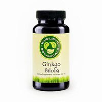 Wholistic Botanicals Ginkgo Biloba Capsule 100 ct.