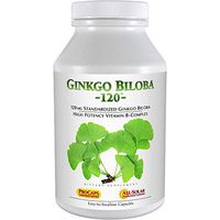 Andrew Lessman Ginkgo Biloba 120-240 Capsules – Standardized Extract to Maintain Flow of Oxygen and Nutrients to Fuel The Brain. Supports Brain, Memory and Cognitive Function. No Additives
