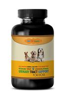 BEST PET SUPPLIES LLC urinary tract support for dogs - ADVANCED URINARY TRACT SUPPORT - FOR DOGS - CHEWABLE - POWERFUL DOG FORMULA - corn silk for dogs - 90 Chews (1 Bottle)