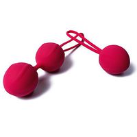 Kegel Balls Smart Ben Wa Balls Pelvic Floor Exercises Training Kit for Women Beginners,Doctor Recommended for Women & Girls Bladder Control & Pelvic Floor Exercises