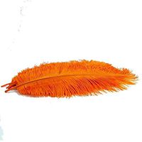 KOLIGHT20pcs Ostrich Feather Orange 10"-12" Natural Feathers Wedding, Party,Home,Hairs Decoration