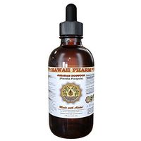 Jamaican Dogwood (Piscidia Piscipula) Liquid Extract 2 oz