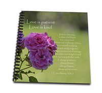 3dRose Pretty Pink Roses Love is Patient Bible Verse-Inspirational-Memory Book, 12-inch (db_110502_2)