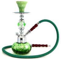 GSTAR Premium Series: 11" 1 Hose Hookah Complete Set - Swirl Mini Glass Vase - (Living Green)