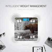 Brown Bear Standing in The Wood Weigh Scales Digital Scale Body Weight Digital Scale Bluetooth Tracks 8 Key Compositions Analyzer Sync with Fitness Apps 400 Lbs