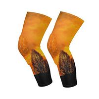 Knee Sleeve Beautiful View Under The Sunset Full Leg Brace Compression Long Sleeves Pant Socks for Running, Jogging, Sports, Crossfit, Basketball, Joint Pain Relief, Men and Women 1 Pair