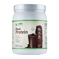 Ecoflo Naturals - Chocolate Plant Protein, 21g of Protein per Serving, 510g (1.1lbs) Dairy F, Gluten and Soy Free Non- GMO