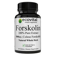 Potent Forskolin Extract for Weight Loss Fat Burner Aid Metabolism Booster Forskolin Made from High Quality Coleus Forskohlii