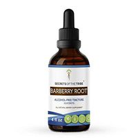 Barberry Root Tincture Alcohol-Free Extract, Organic Barberry (Berberis Vulgaris) Dried Root Bark (4 FL OZ)