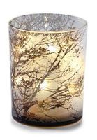Zodax Medium Tree Etched LED Glass Murricane