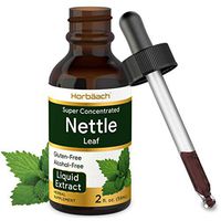 Nettle Leaf Extract | 2 oz | Alcohol Free | Vegetarian, Non-GMO, Gluten Free Tincture | by Horbaach