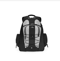 Brenthaven 2071 EXPANDABLE TREK BACKBACK (TITANIUM)
