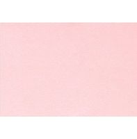 #17 Mini Flat Card (2 9/16 x 3 9/16) - Candy Pink (500 Qty.)