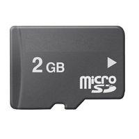 Aoile 2 GB MicroSD Memory Card (Bulk Packaged)