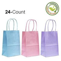 Gift Expressions Paper Gift Bags, 24 Count, Pastel Assorted Colors, Kraft Paper Bags, 5.25” x 8.5” x 3.5", 100% Recycled, Thick & Durable Eco Friendly Paper Bags with Handles, Goodie Bags, Party Bags