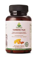 Premium Turmeric Curcumin with Ginger 1510 mg with 95% Curcuminoids Max Potency Joint Pain Relief,Anti-Inflammatory, Antioxidant Bioperine Black Pepper for The Best Absorption 90 Vegetarian Capsule