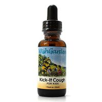 Wishgarden, Kick It Cough Kids, 1 Fl Oz