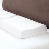 Remedy Contour Memory Foam Pillow with Cover, Large