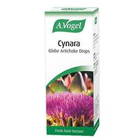 The Healthy Option Cynara Scolymus 50Ml