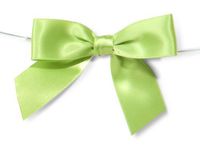 LIME GREEN 3" Pre-Tied Satin Bowswith 5" Twist Ties~ 7/8" ribbon 12 unit, 12 pack per unit.