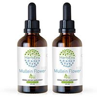 Mullein Flower B120 (2pcs) Alcohol-Free Herbal Extract Tincture, Super-Concentrated Organic Mullein (Verbascum Densiflorum) Dried Flower (2x4 fl oz)