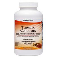 Life's Fortune Turmeric Curcumin Dietary Supplement, Supports Joint Relies, Antioxidant Health, Immune, Digestive and Liver Health, 180 Vegetarian Capsules - 750mg