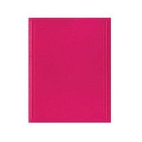 Caspari Solid Gift Enclosure Cards in Fuchsia, 20 with Envelopes