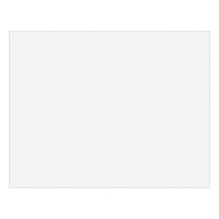 Staples 1213774 Premium Poster Boards 5-Pack White 22 X 28