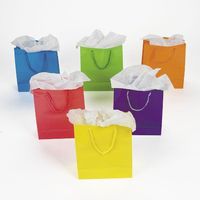Fun Express Medium Neon Gift Bags, 2-Dozen, 9-Inch Tall