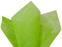 Apple Green Non-Woven Tissue Sheets 100~20"x26" Sheets (3 Packs) - Wraps-WTISAG