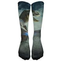 Landscape With Dinosaur Athletic Tube Stockings Women's Men's Classics Knee High Socks Sport Long Sock One Size