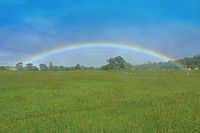 Hawaii-Inspired Note Cards With Envelopes — Photographed and Made on Maui — Rainbow Set (3.5" x 5")