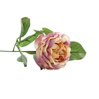 scamper Night Rose Artificial Flower Fake Home Wedding Decoration Wall Mist Smog Bouquet Flowers Roses Real DIY Bouquets