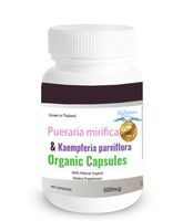 60CAPS 500mg PUERARIA MIRIFICA KAEMPFERIA PARVIFLORA BLACK GINGER 100% Premium Grade Grown in Thailand.