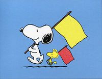 Peanuts 20 Notecards and Envelopes