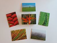 Hawaii-Inspired Note Cards With Envelopes — Photographed and Made on Maui (3.5" x 5") (Bird of Paradise Set)