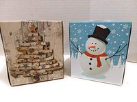 Christmas Holiday Facial Tissues Decorator Packages 2 Pack Bundle Set Rustic Farmhouse Birch Logs (Snowman/Christmas Tree)